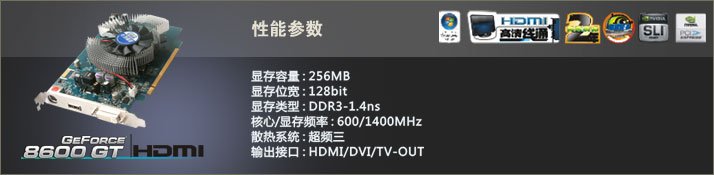 8600GT