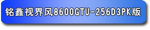 铭鑫视界风 8600GTU-256D3 PK版